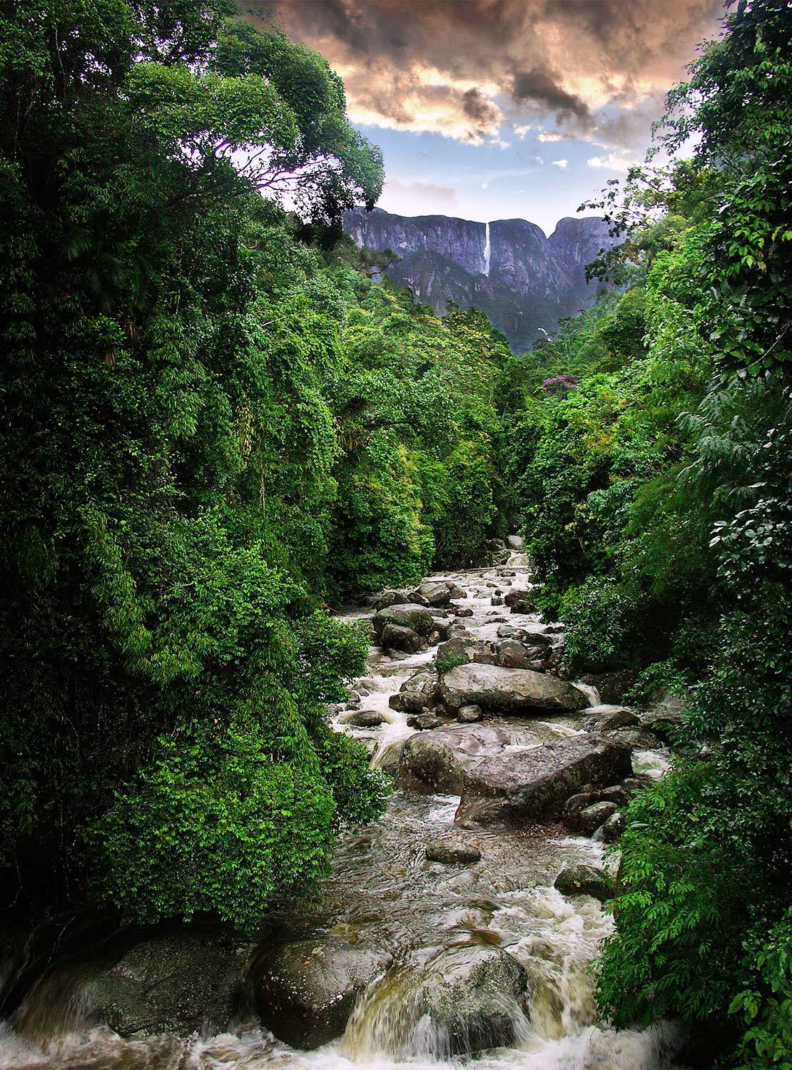 Intercity Teresópolis المظهر الخارجي الصورة